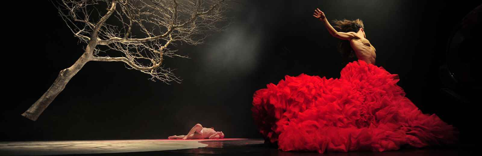 Dracula - Vortice Dance Company