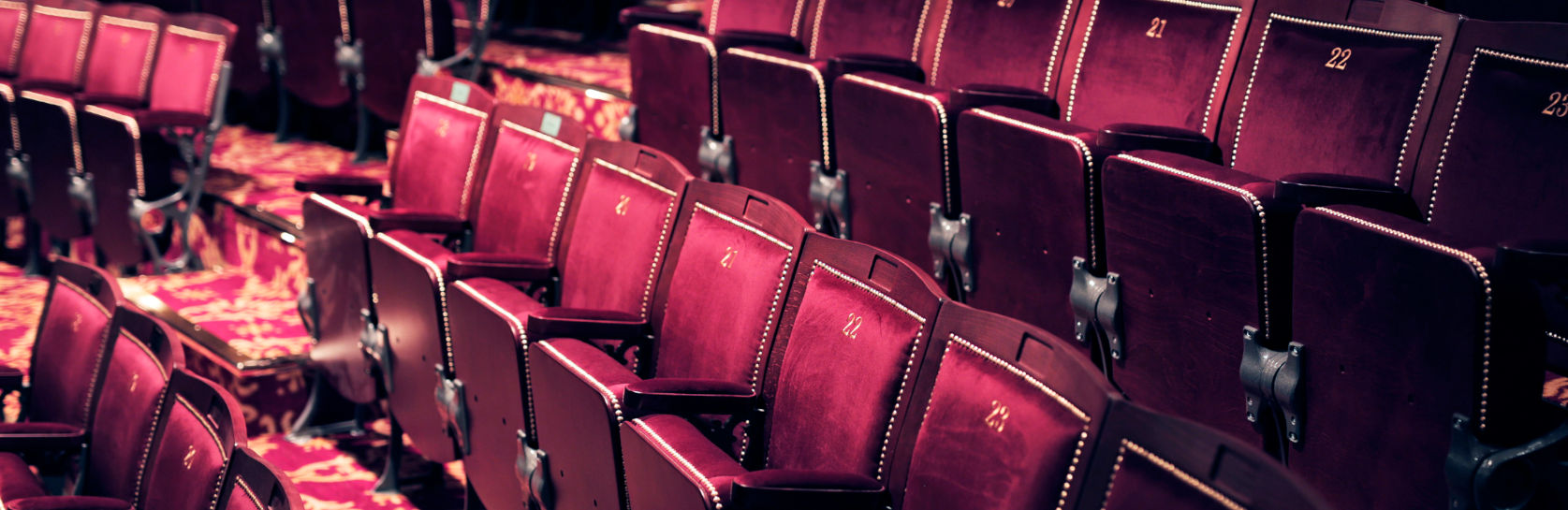 DARLINGTON HIPPODROME AND COVID-19