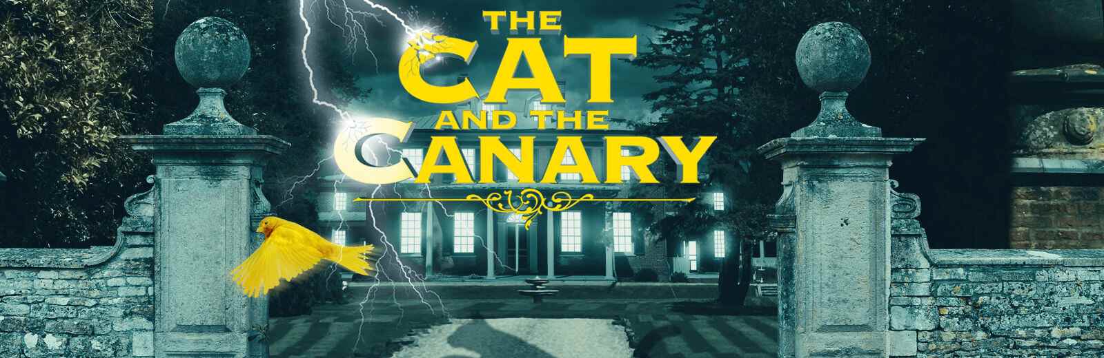 The Cat and the Canary