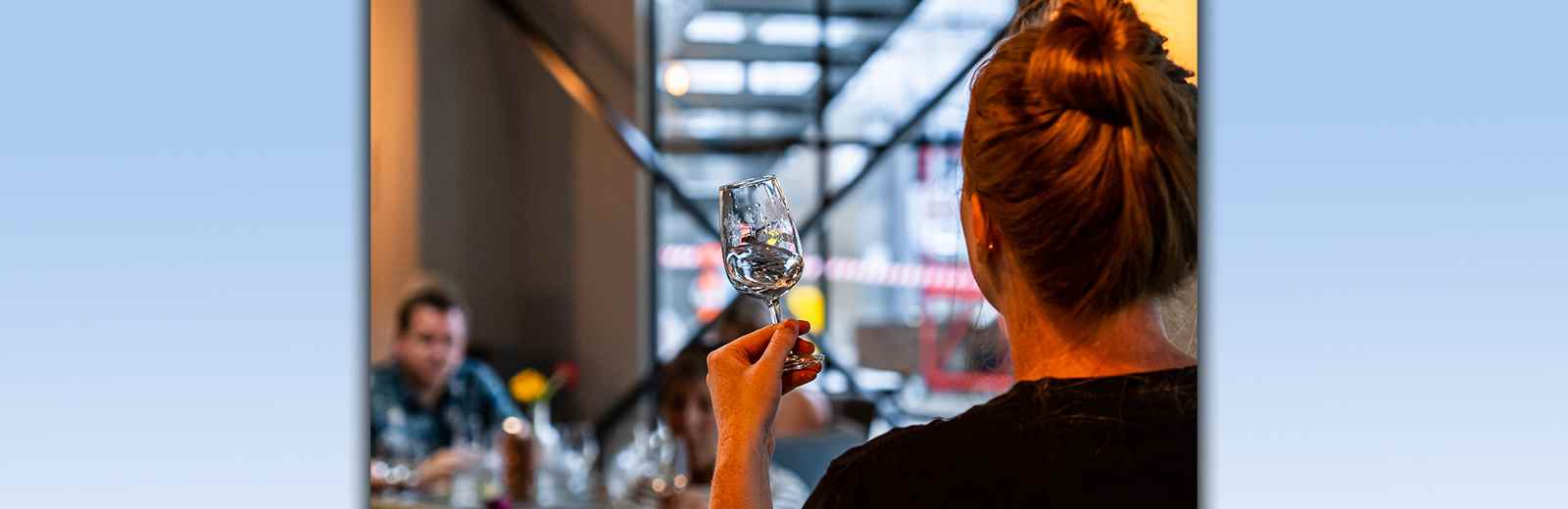 Darlington Hippodrome Details