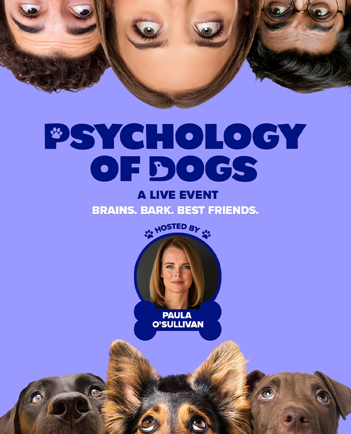 The Psychology of Dogs