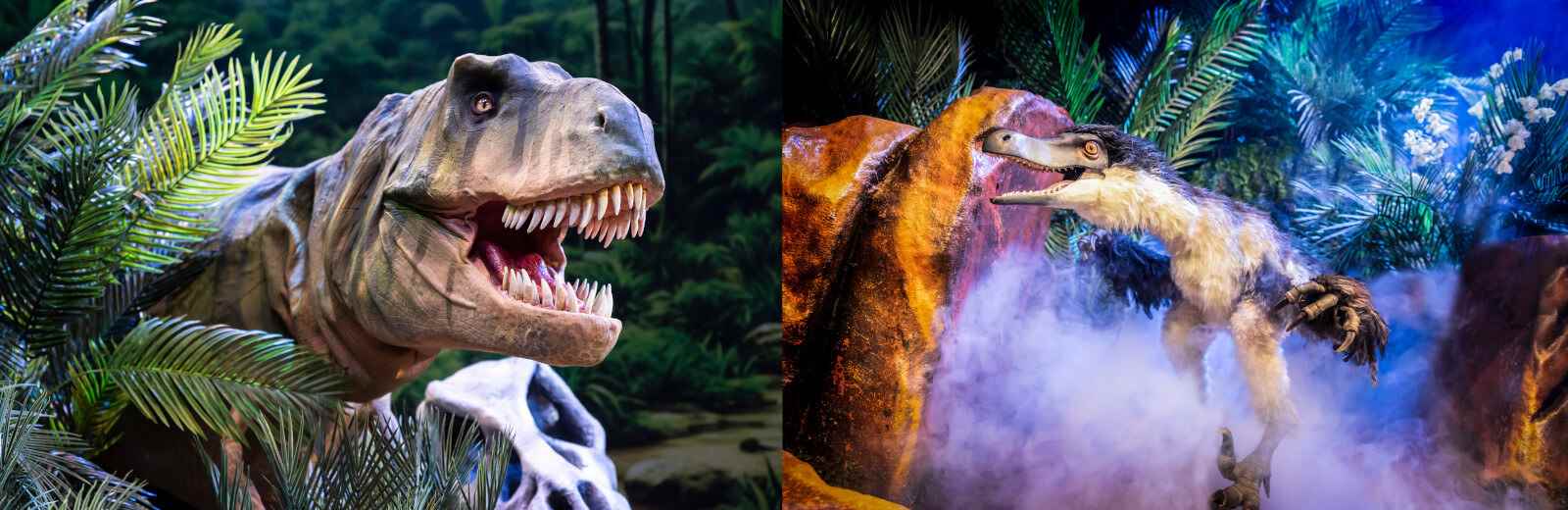 Natural History Museum presents Dinosaurs Live!