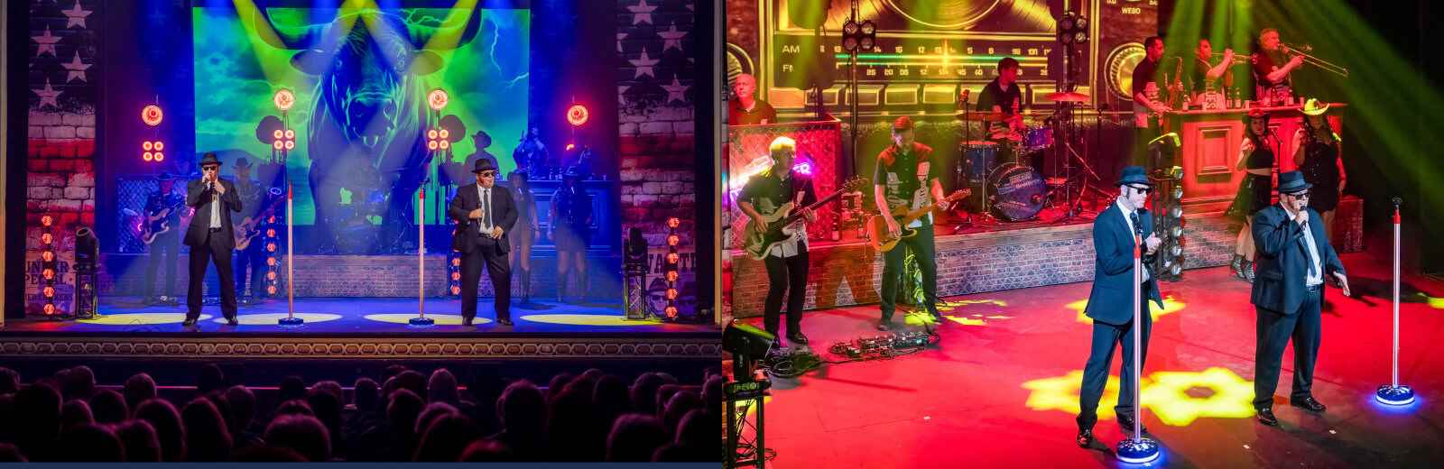 The Chicago Blues Brothers