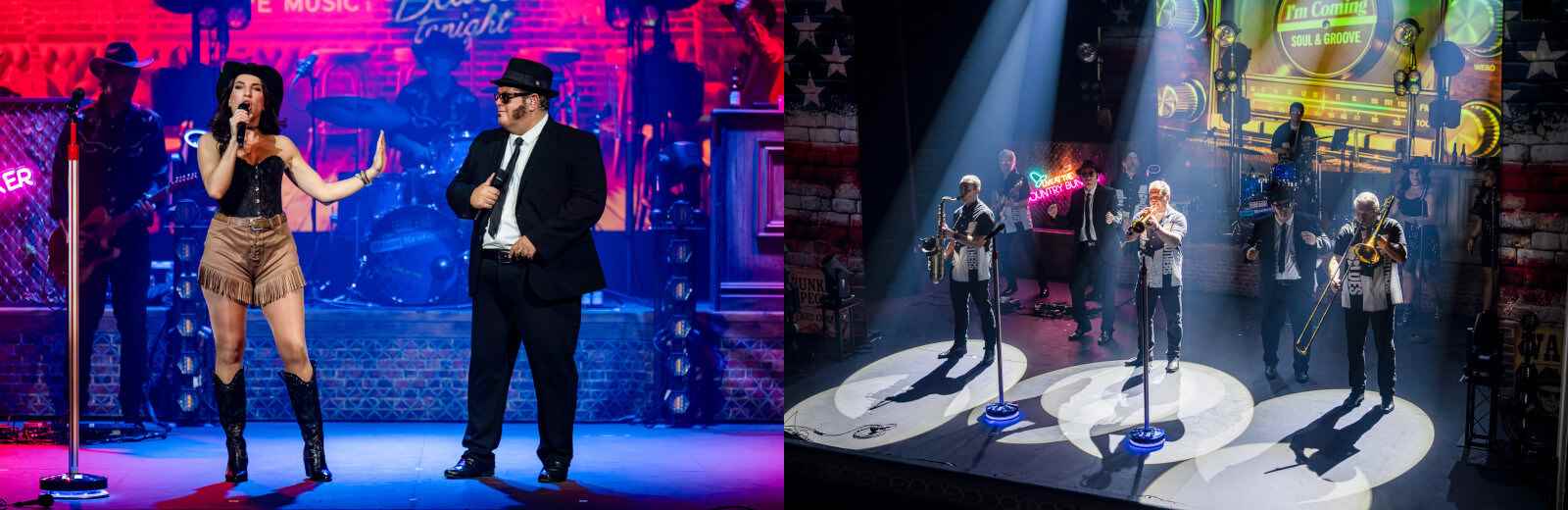 The Chicago Blues Brothers