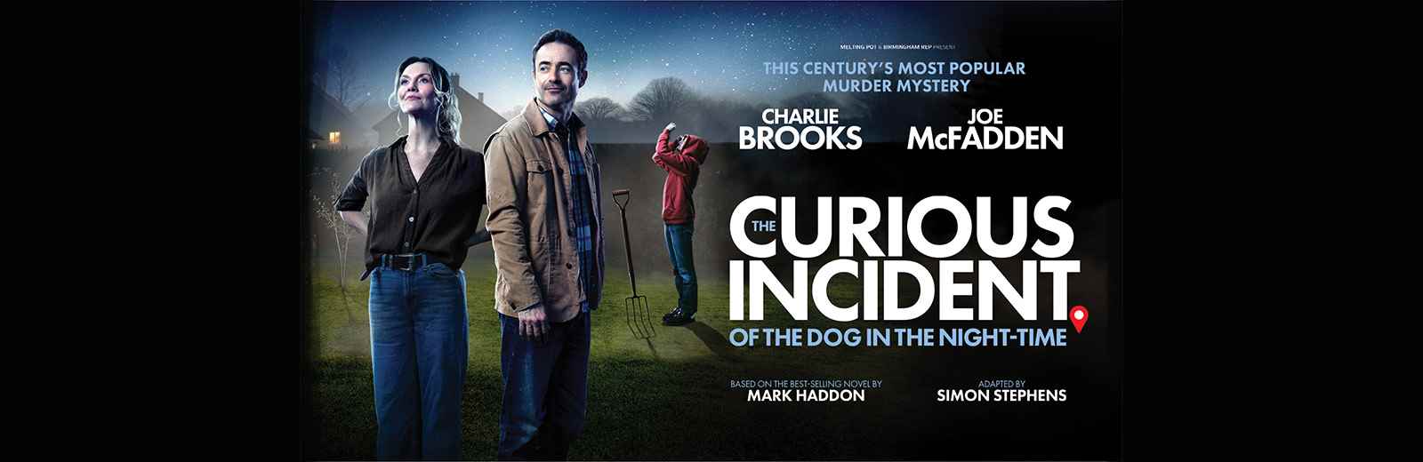 The Curious Incident of the Dog in the Night-Time