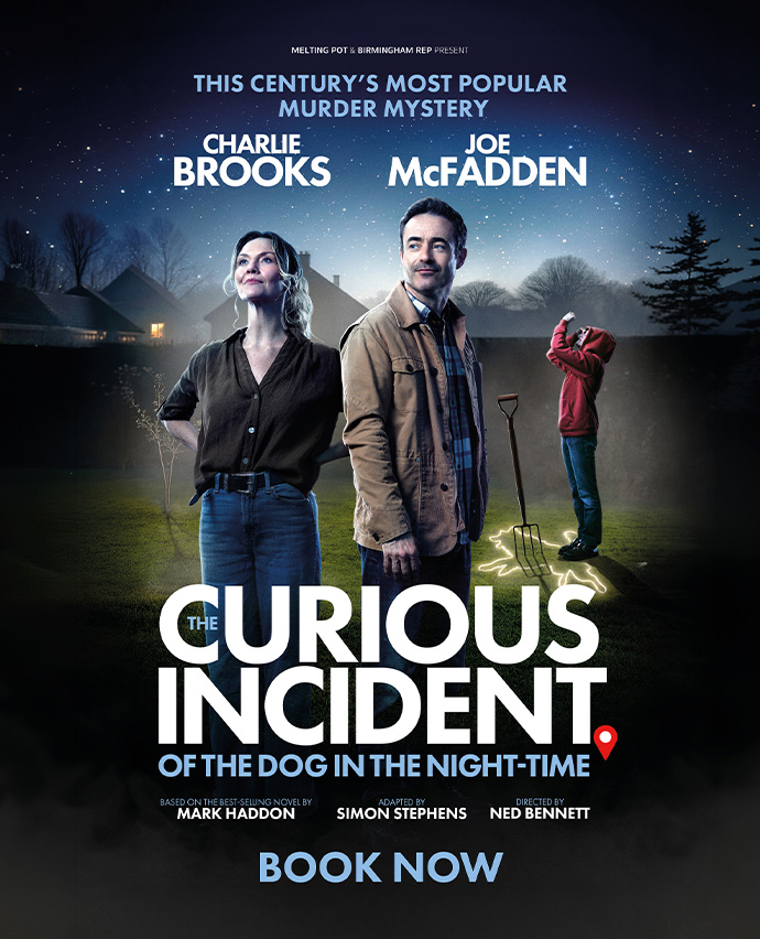 The Curious Incident of the Dog in the Night-Time