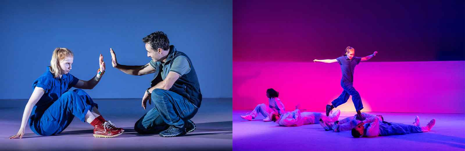 The Curious Incident of the Dog in the Night-Time